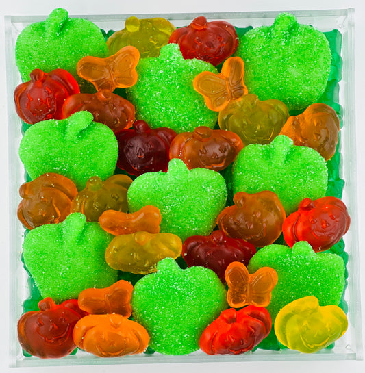 Fall themed red orange and green gummi Candy Board featuring  gummi bears pumpkins apples and butterlies that makes a great gift for friends partners and kids and teens